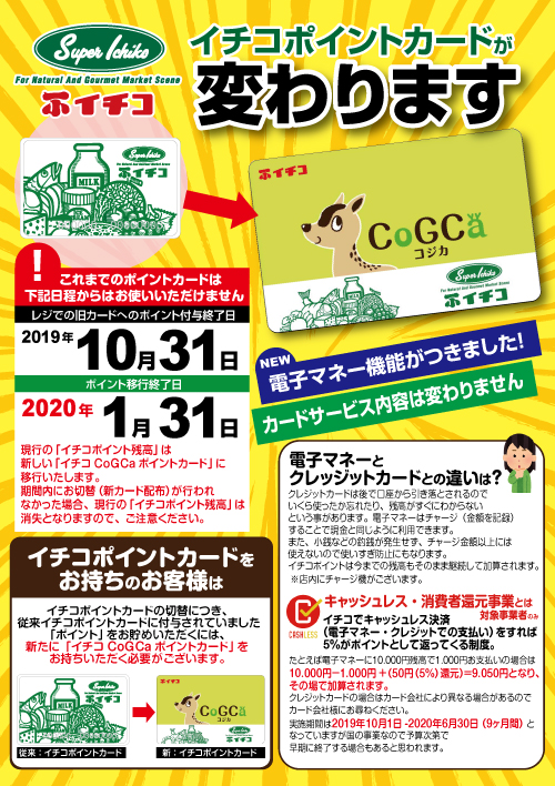 CoGCaカード
